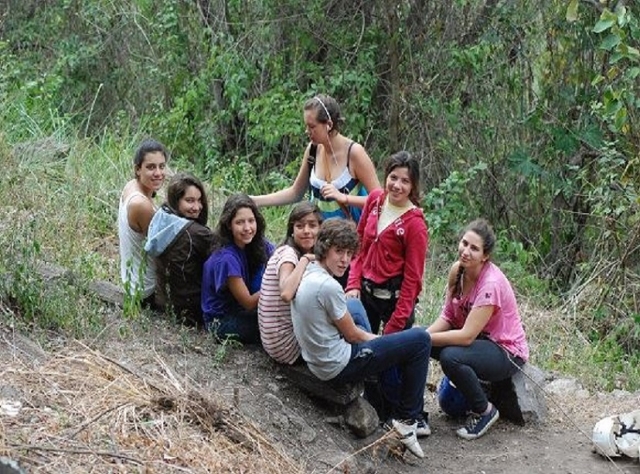  amis dans la forêt 